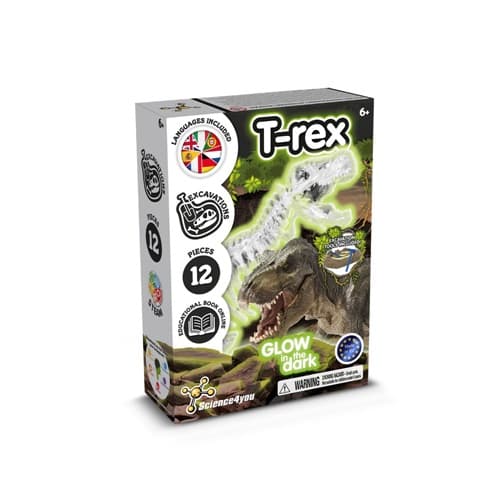 FOSSIL EXCAVATION KIT I-Joc