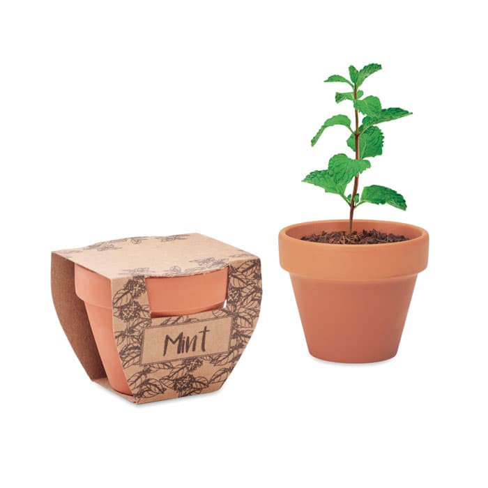 MINT POT-Testos