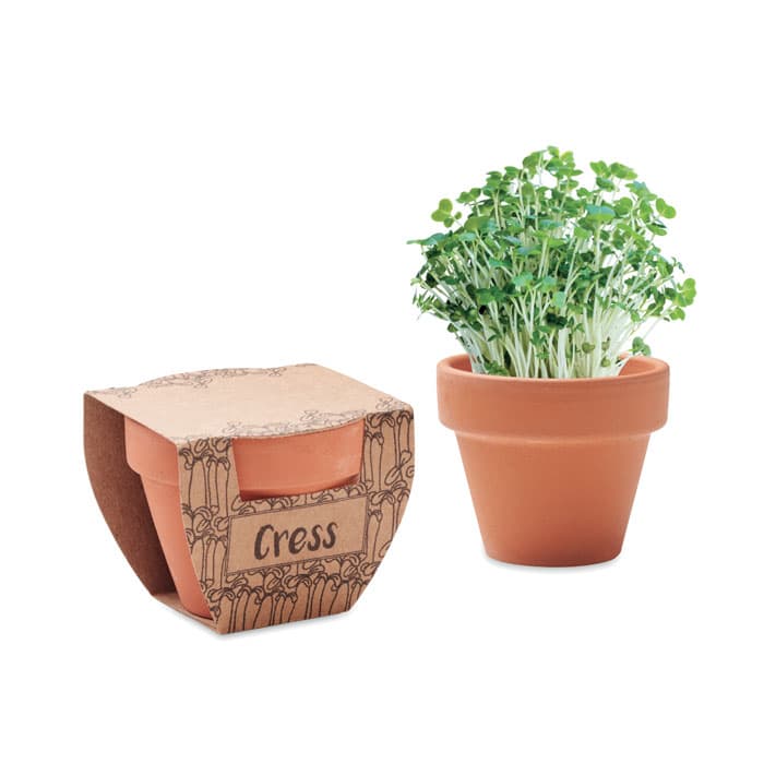 CRESS POT-Testos