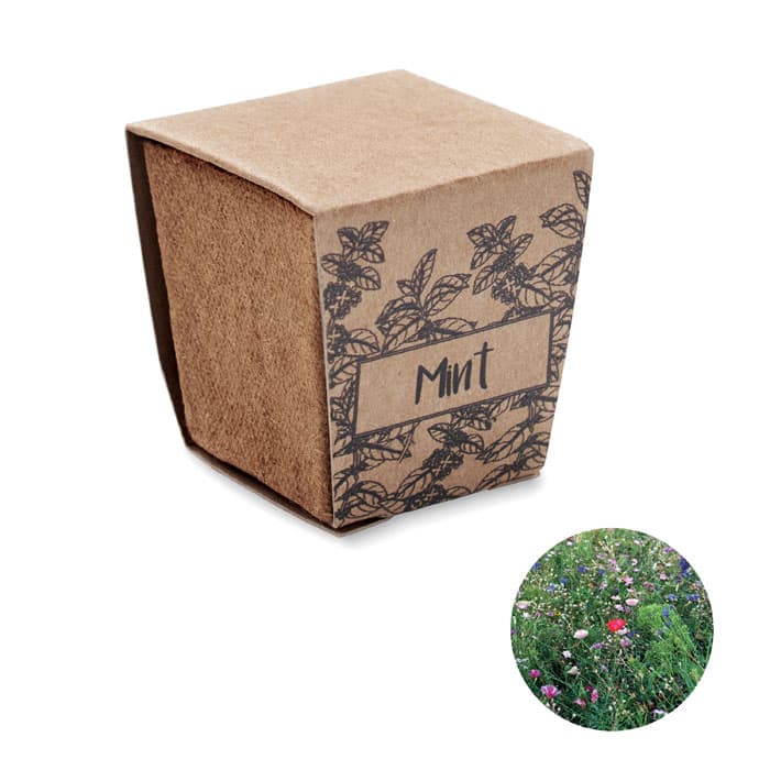 MINT KIT-Testos