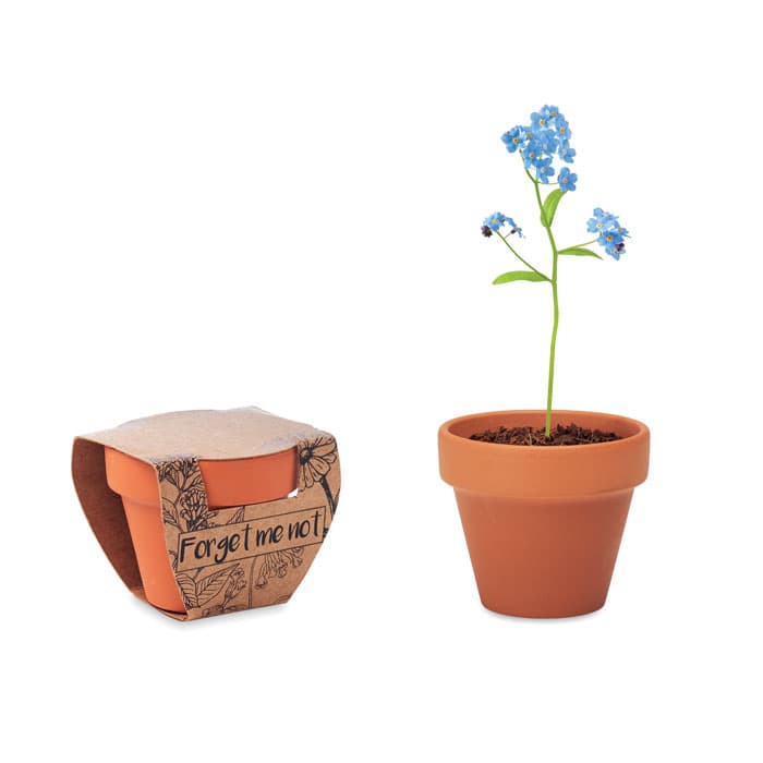 FORGET ME NOT-Testos
