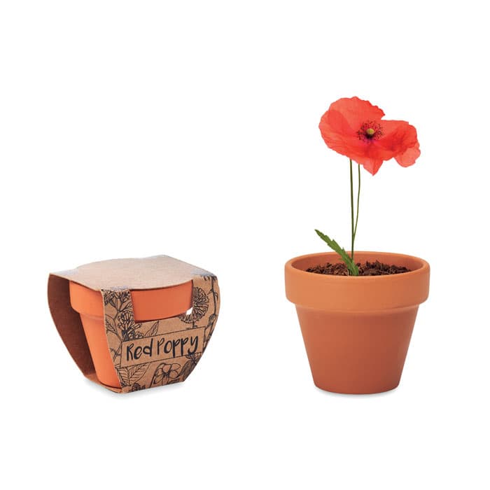 RED POPPY-Testos