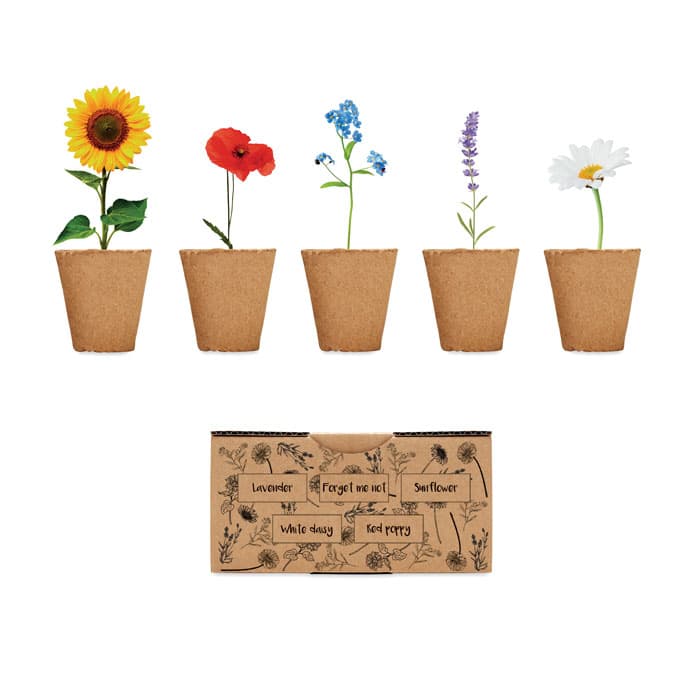 FLOWERS-Caixa
