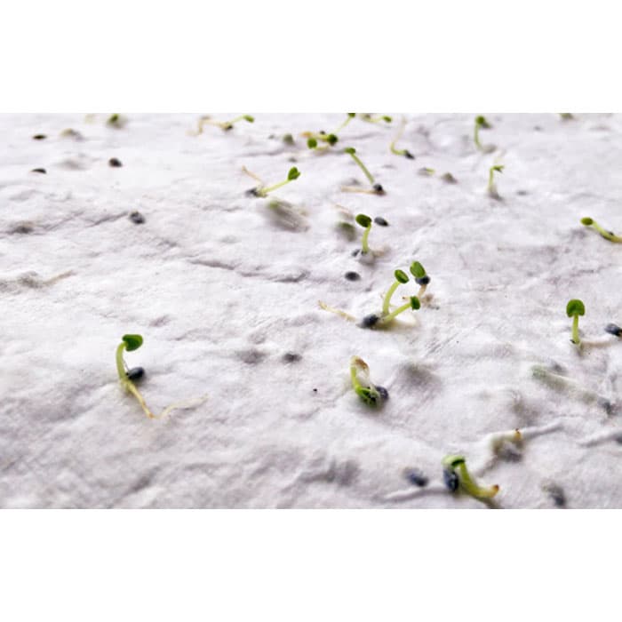 ASIDO-Blocs, llibretes i notes adhesives