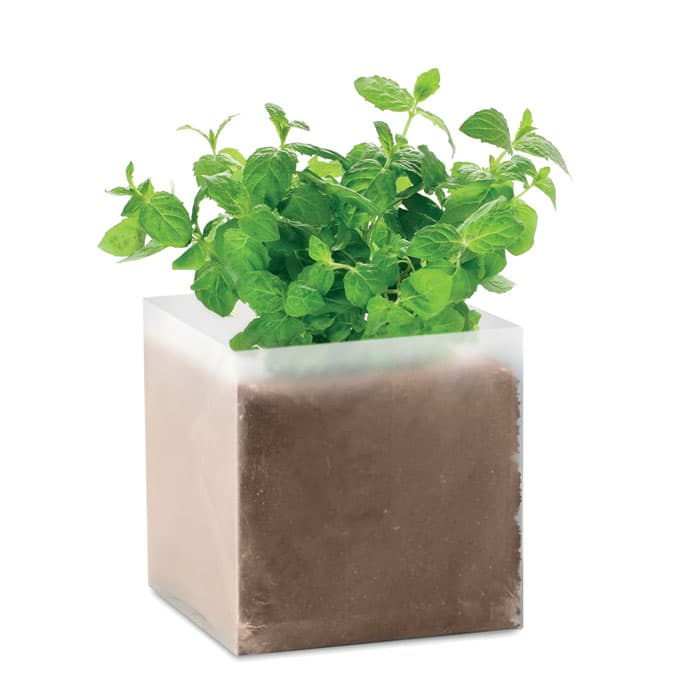 MINT-Agricultura