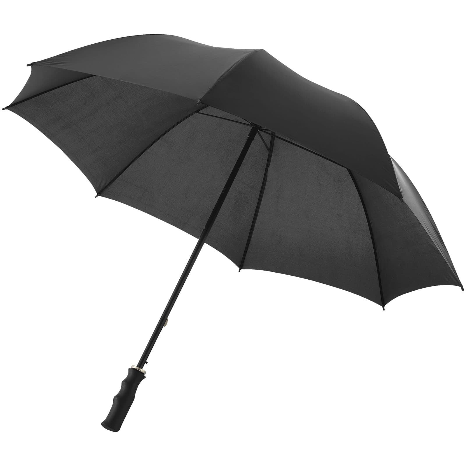 109054-Paraigua